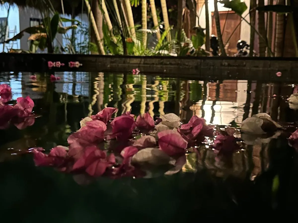 Guest house My Secret Home Seminyak